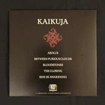 LP Ashtar: Kaikuja LTD | CLR 135348
