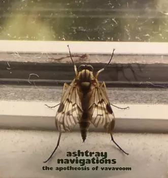 The Apotheosis of VaVaVoom