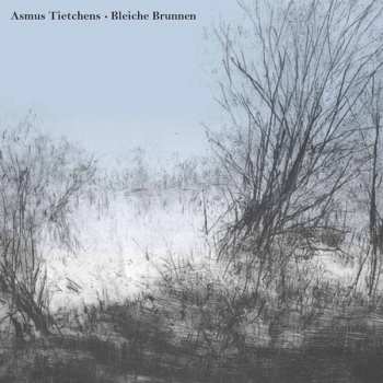 Album Asmus Tietchens: Bleiche Brunnen