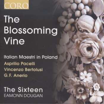 Album Asprilio Pacelli: The Blossoming Vine - Italian Maestri In Poland
