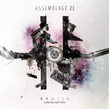 Assemblage 23: Bruise