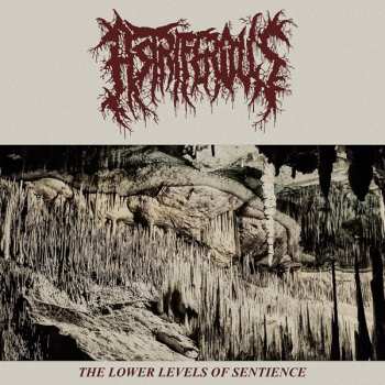 Album Astriferious: The Lower Levels Of Sentience