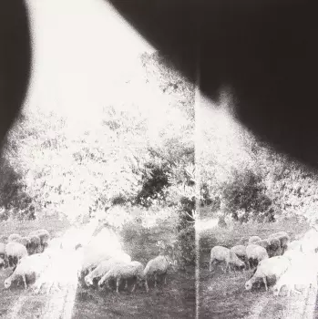Godspeed You Black Emperor!: Asunder, Sweet And Other Distress