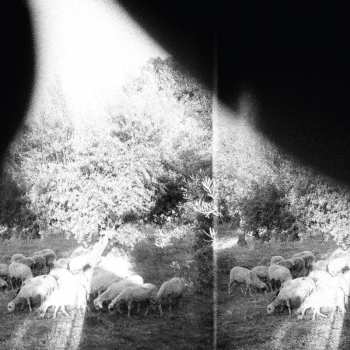 CD Godspeed You Black Emperor!: Asunder, Sweet And Other Distress 2933