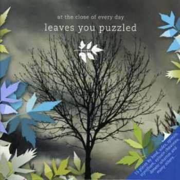 CD At The Close Of Every Day: Leaves You Puzzled LTD 442302