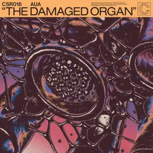 AUA: The Damaged Organ