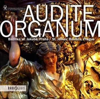 Album Various: Audite organum