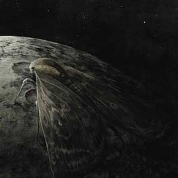 Album Augrimmer: Moth And The Moon
