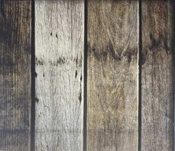 CD Austin Lucas: Between The Moon & The Midwest