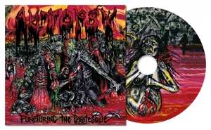CD Autopsy: Puncturing The Grotesque 397693