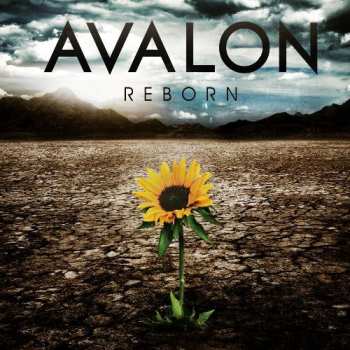 Album Avalon: Reborn 