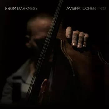 Avishai Cohen Trio: From Darkness