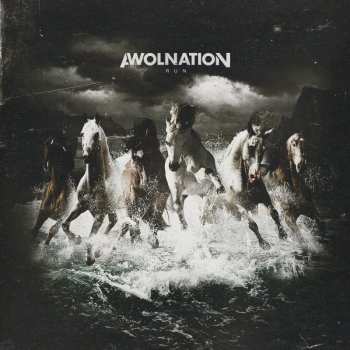 Album Awolnation: Run