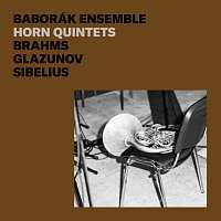 Baborák Ensemble: Brahms, Glazunov, Sibelius: Horn Quin