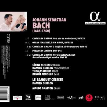 CD Johann Sebastian Bach: Trinitatis 434919