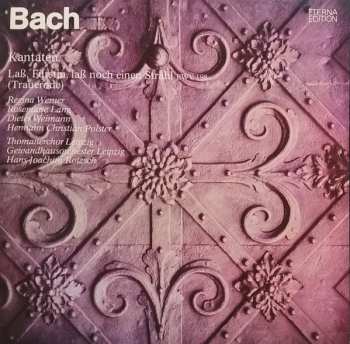 Album Johann Sebastian Bach: Kantaten