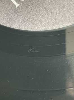 LP Bad Religion: The New America