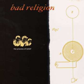 LP Bad Religion: The Process Of Belief 383460