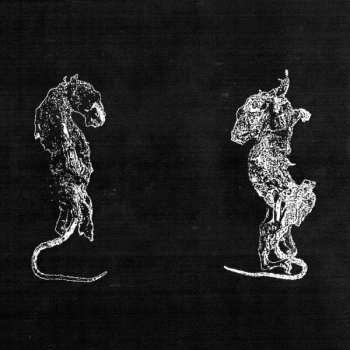 Album Balzemad: Verschleiß Durch Abrieb