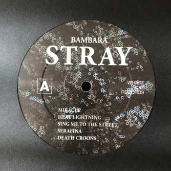 LP Bambara: Stray LTD 393883