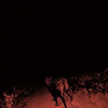 CD Bambara: Shadow On Everything