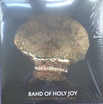 Album Band Of Holy Joy: Fated Beautiful Mistakes