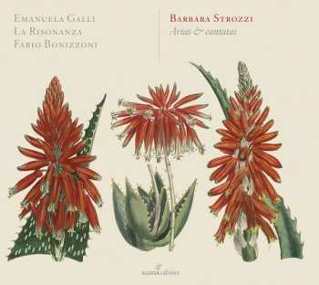 Album Barbara Strozzi: Opera Ottava Arias & Cantatas