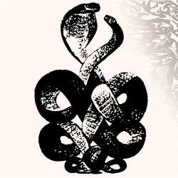 Album Bardo Pond: Volumes 4 & 5