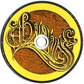 2CD Baroness: Yellow & Green 41120