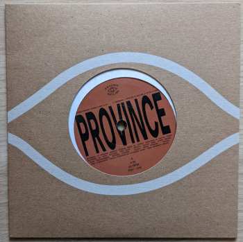 Album Bartees Strange: Province​ /​ Ever New