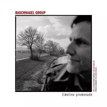 Baschnagel Group: Timeline Promenade