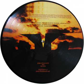 LP Bathory: Twilight Of The Gods PIC | LTD 393073