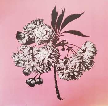 Album Battosai: Lagrimas Y Milagros