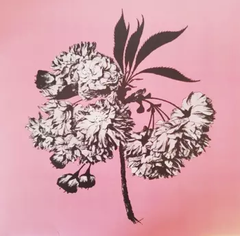 Battosai: Lagrimas Y Milagros