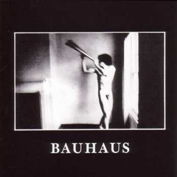 Album Bauhaus: In The Flat Field
