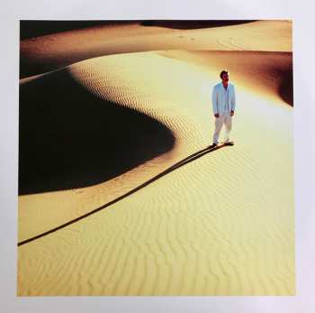 LP Baxter Dury: Prince Of Tears