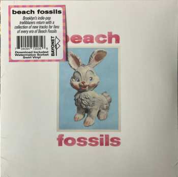 Album Beach Fossils: Bunny