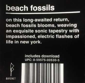 LP Beach Fossils: Somersault 142936