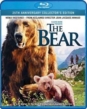 Blu-ray Bear: Bear
