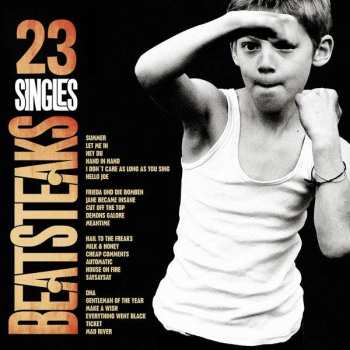 CD Beatsteaks: 23 Singles 242907