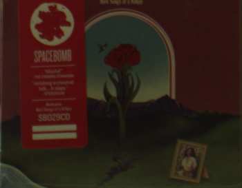 CD Bedouine: Bird Songs Of A Killjoy