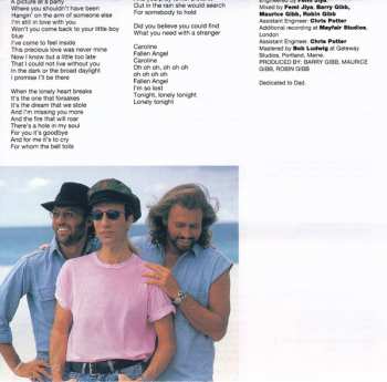 CD Bee Gees: Size Isn't Everything = サイズ・イズント・エヴリシング 541247