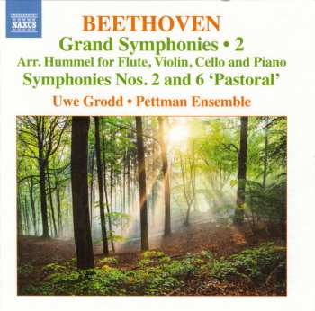Album Ludwig van Beethoven: Grand Symphonies • 2