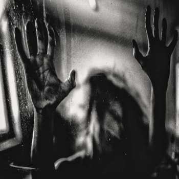 Album Behind The Shadow Drops: H a r m o n i c