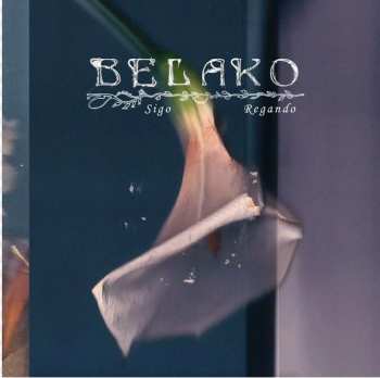 Album Belako: Sigo Regando