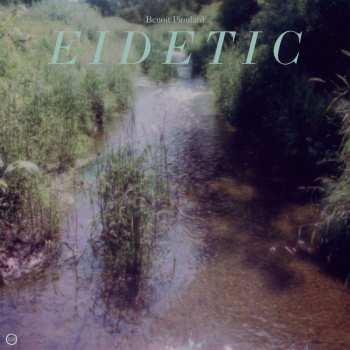 CD Benoit Pioulard: Eidetic 460474
