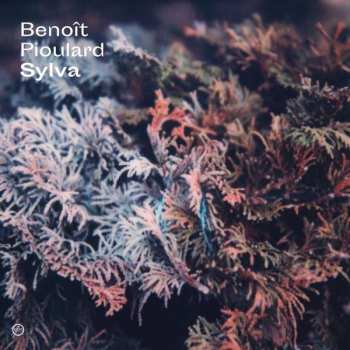 Album Benoit Pioulard: Sylva