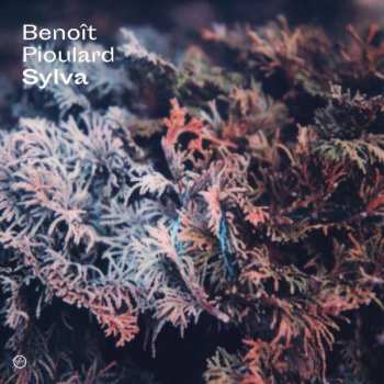 CD Benoit Pioulard: Sylva 280581