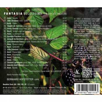 CD Bernhard Hofstötter: Fantasia Bellissima The Lviv Lute Tablature 318464