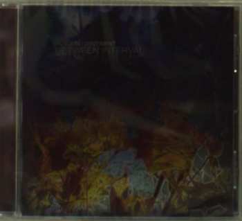 Album Between Interval: Autumn Continent